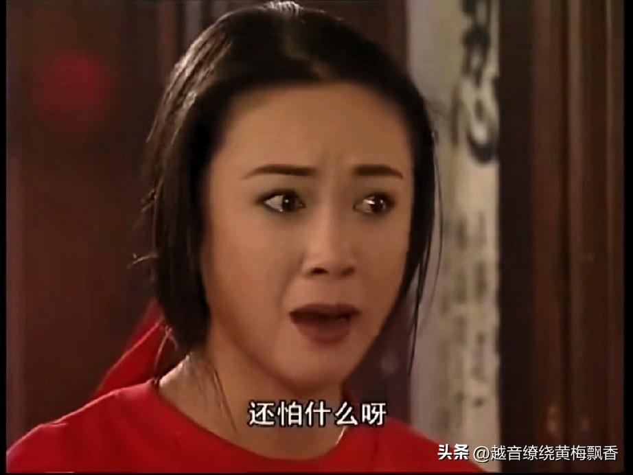 这部拍摄于90年代的电视剧《婆婆媳妇小姑子》我是百看不厌，每年我都会看一次，这种