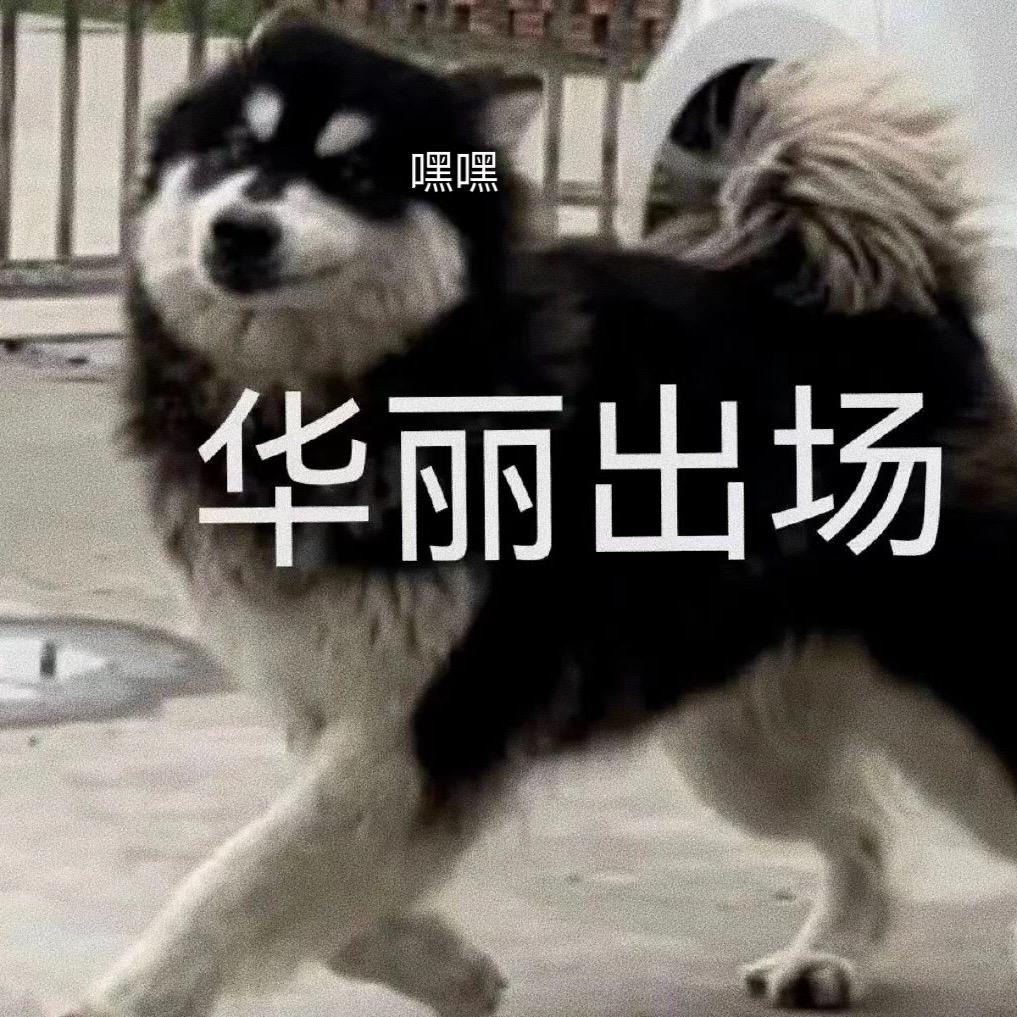 华丽登场！#表情包