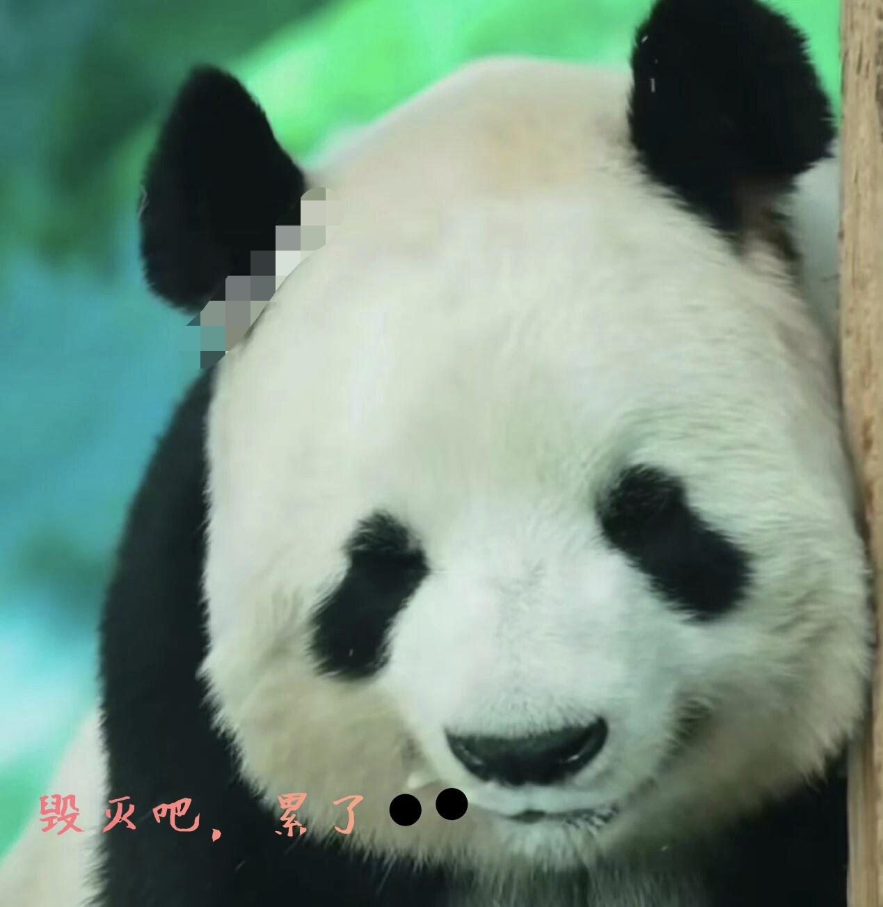 什么叫公平？
这个词只是人为创造的吧！
宇宙乃至地球的生命，哪有什么公平。
有些