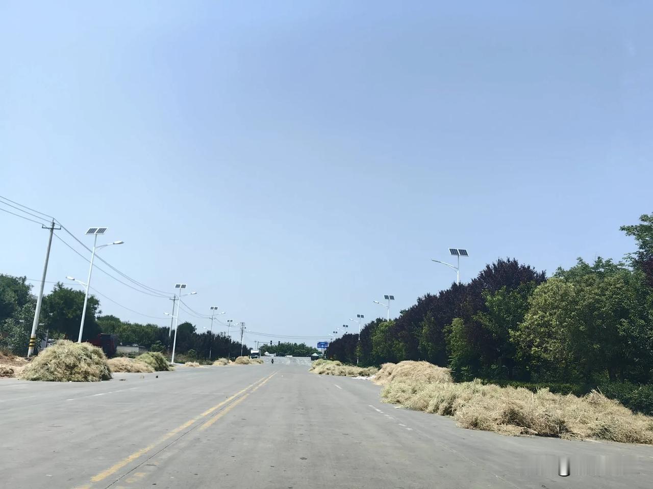 庄稼公路晾晒，这个占道我们应该理解，农民不容易，真的是不容易。今年的大风，干旱，