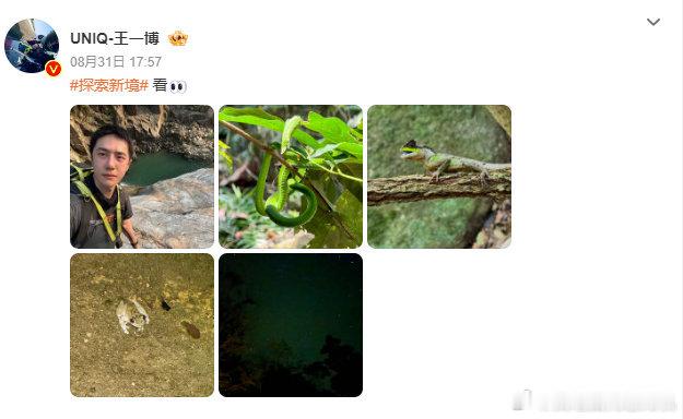 王一博的探索明信片王一博去年探险小青蛙今年认证岩羊 王一博的探索明信片来啦，王一