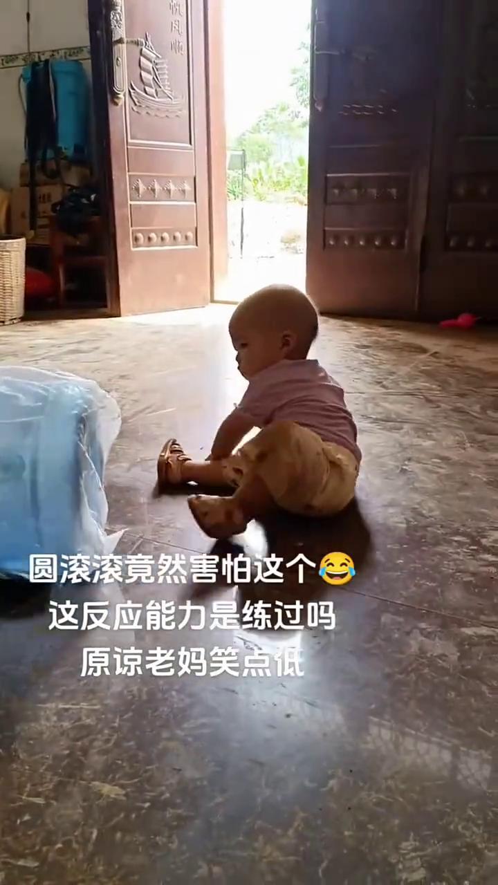 圆滚滚竟然害怕这个，这反应能力是练过吗？原谅老妈笑点低。