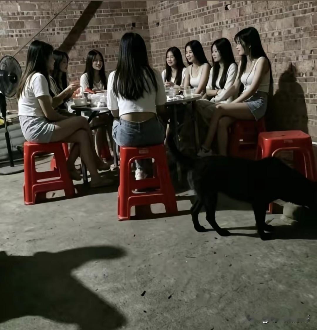 猜猜看这是什么聚会？