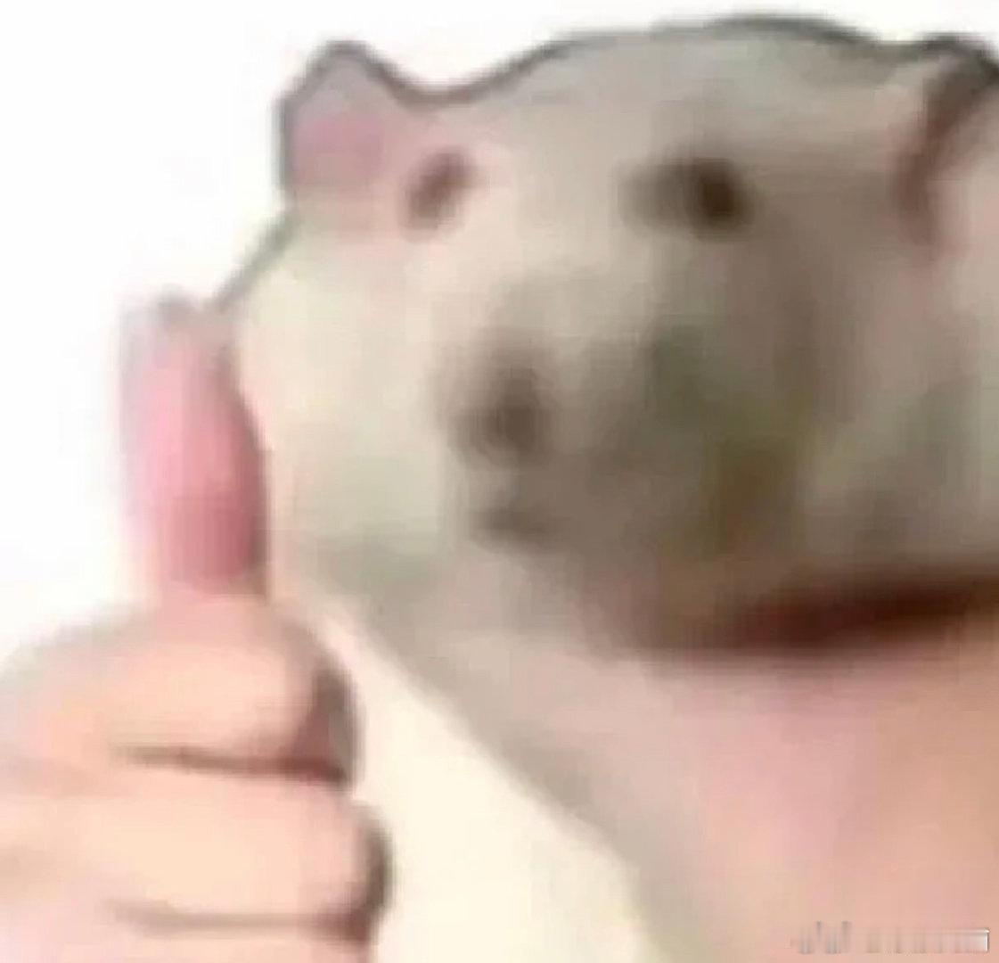 #最帅升旗手为什么回乡做新农人# 这份决心和行动力真的太让人佩服了！他用自己的知