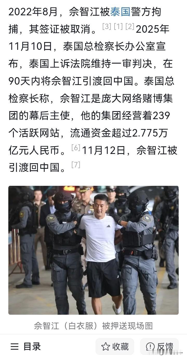 2.775万亿人民币，国家这是给老百姓救回多少钱啊！

被引渡回国的佘伦凯（佘智