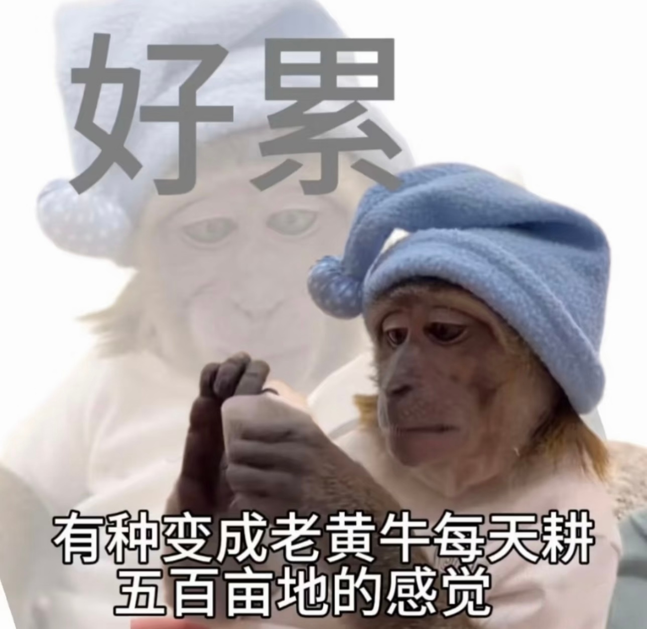 本月工作belike ​​​