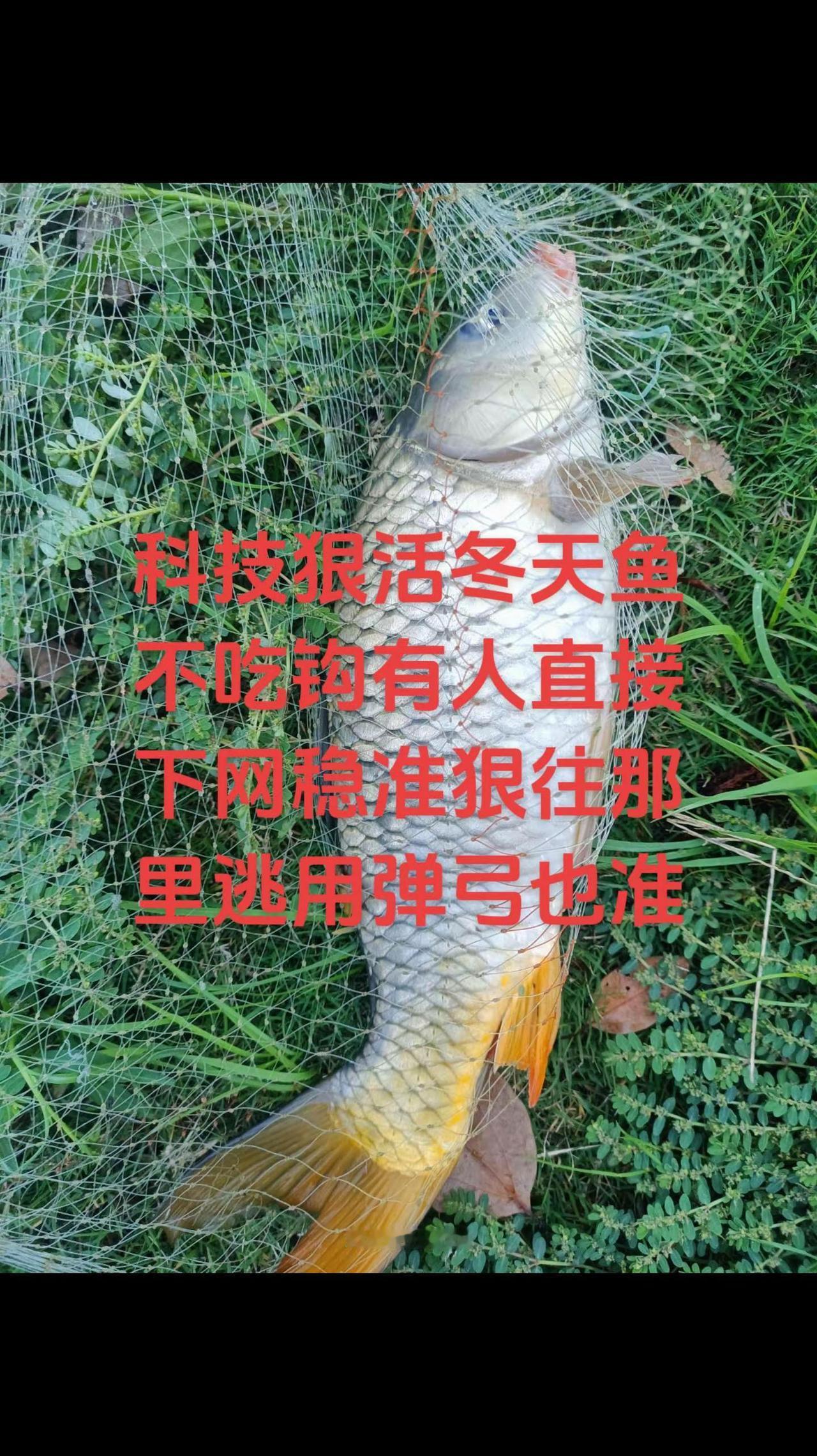 快点买饵料，鱼竿了，在橱窗里面下单