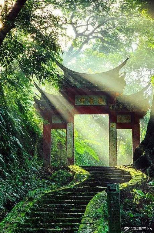阶前独步·默斋主人原创散文诗我安于这份恰好的孤清一袭素衫，裹住自在本心心绪沉敛，