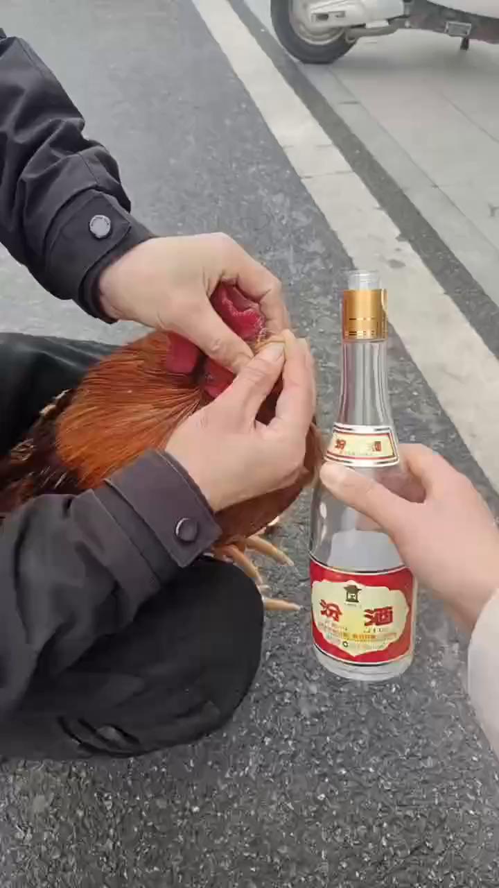 这波操作都看傻了。