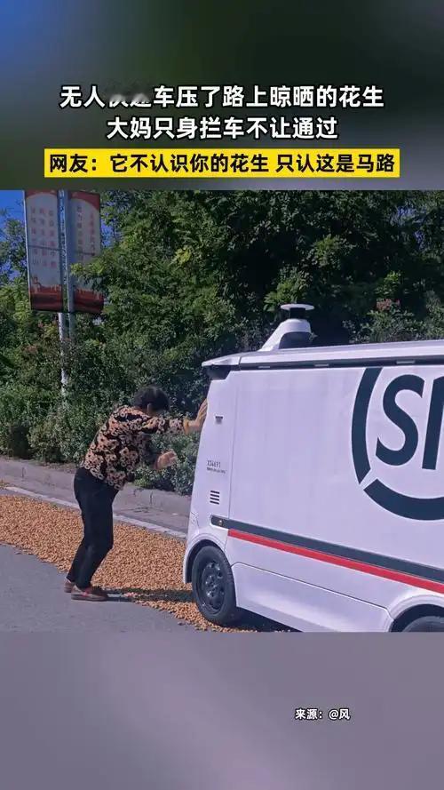 近日一段视频：一无人快递 与一晒花生大妈故事，笑翻了网友：一个敢走，一个敢推……