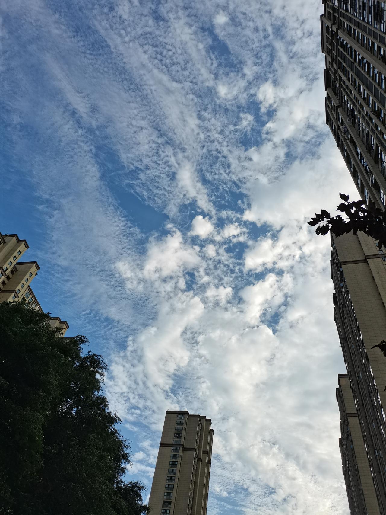 上周日在教堂里，
看到左边坐的一个中老年女人，
没有一点中老年该有的样子。

她
