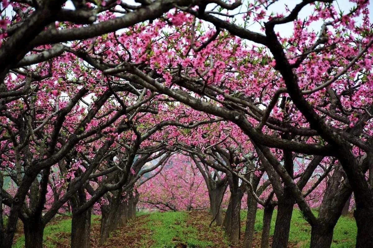 【留不住时光，握不住流年，要用自己舒服的节奏，感受生活，热爱生活】
      