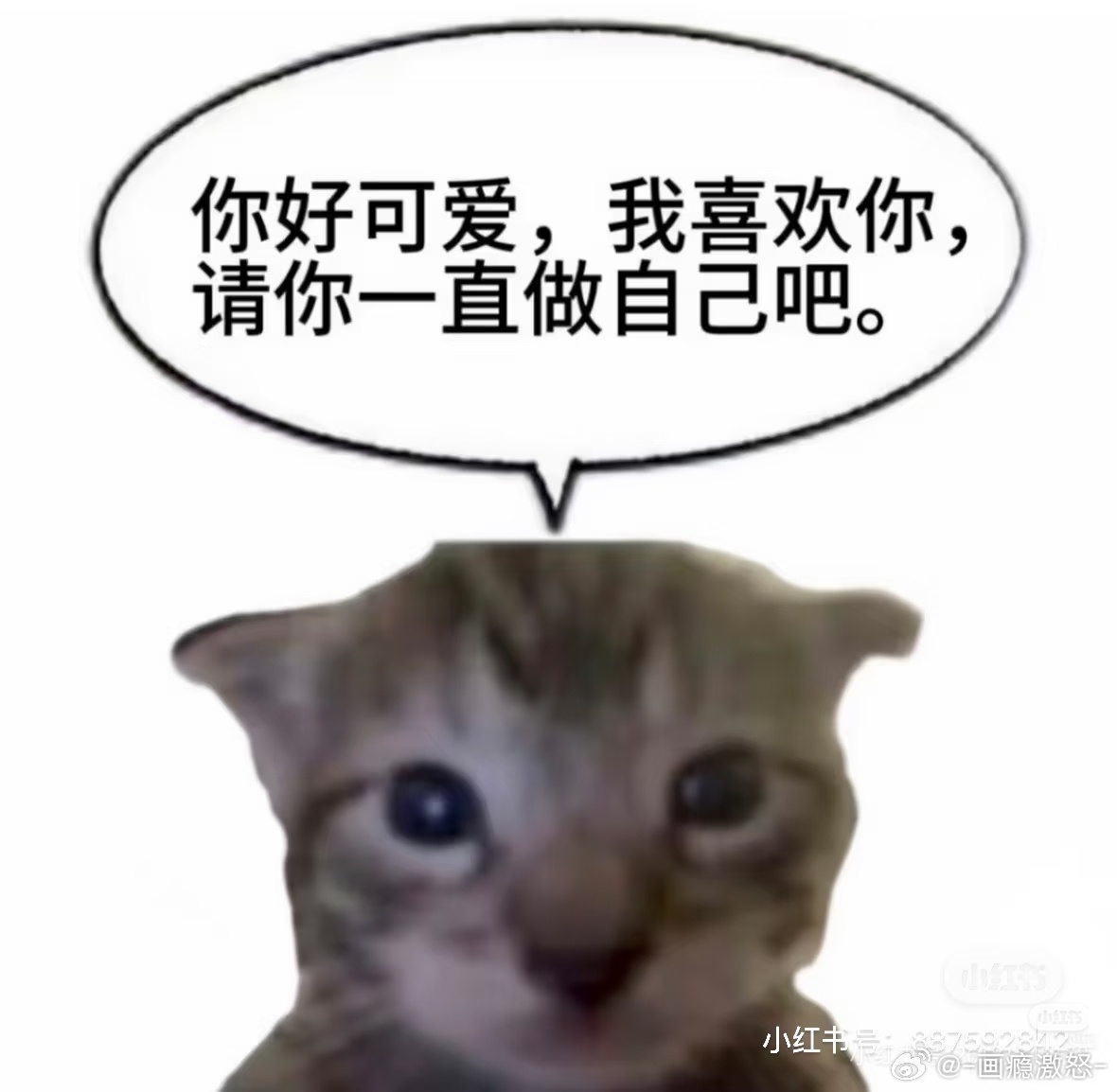 张朝对李乐belike： 