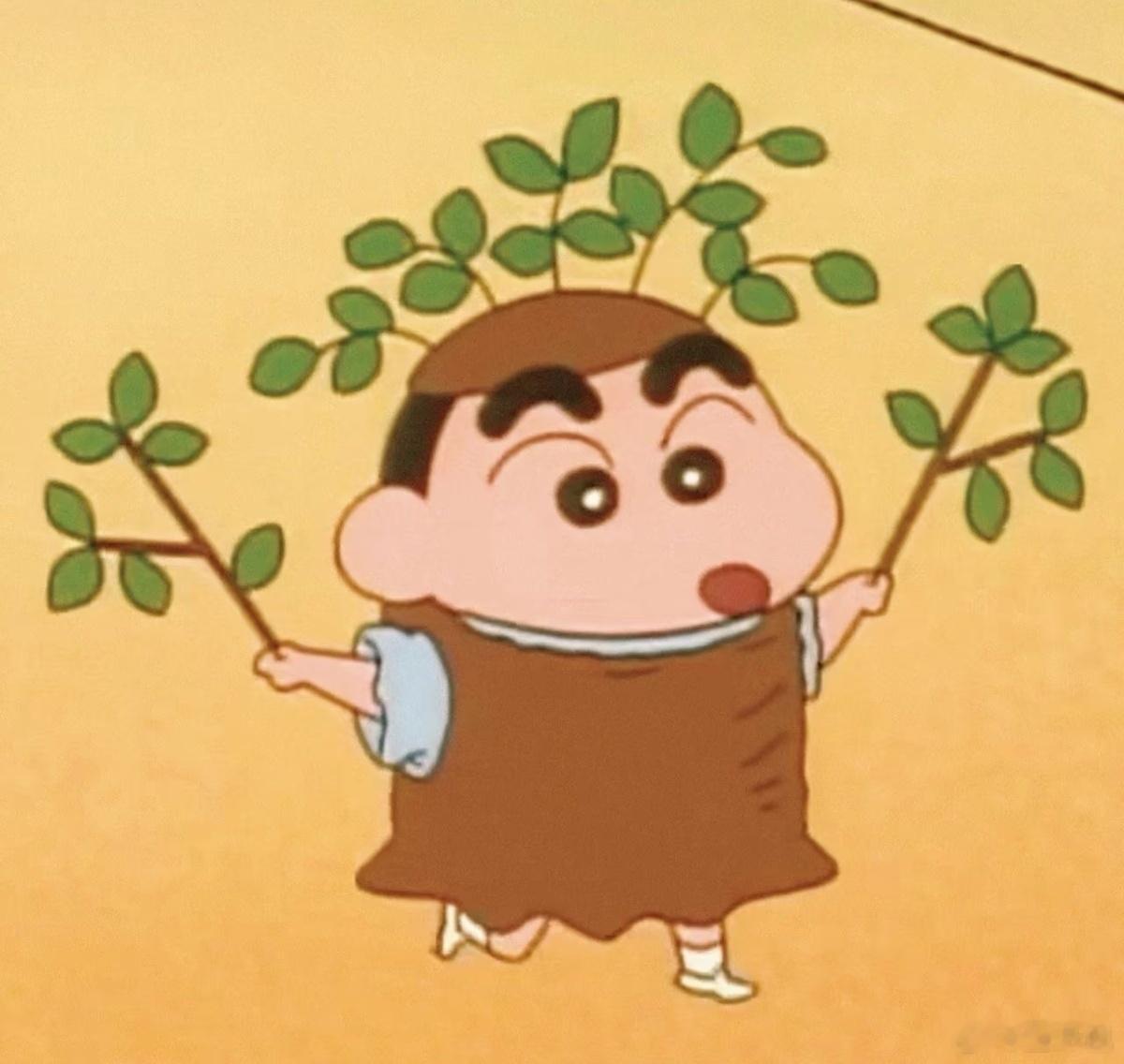 生日这天种下了一颗属于自己的树独一份生日仪式，种下属于自己的树，陪伴岁岁年年，自