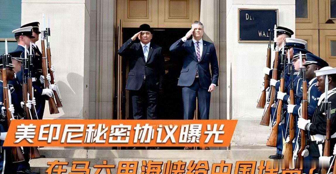 背景资料：
印尼为美军开放领空
最近新西兰空军一架P-8A反潜巡逻机持续在黄海、