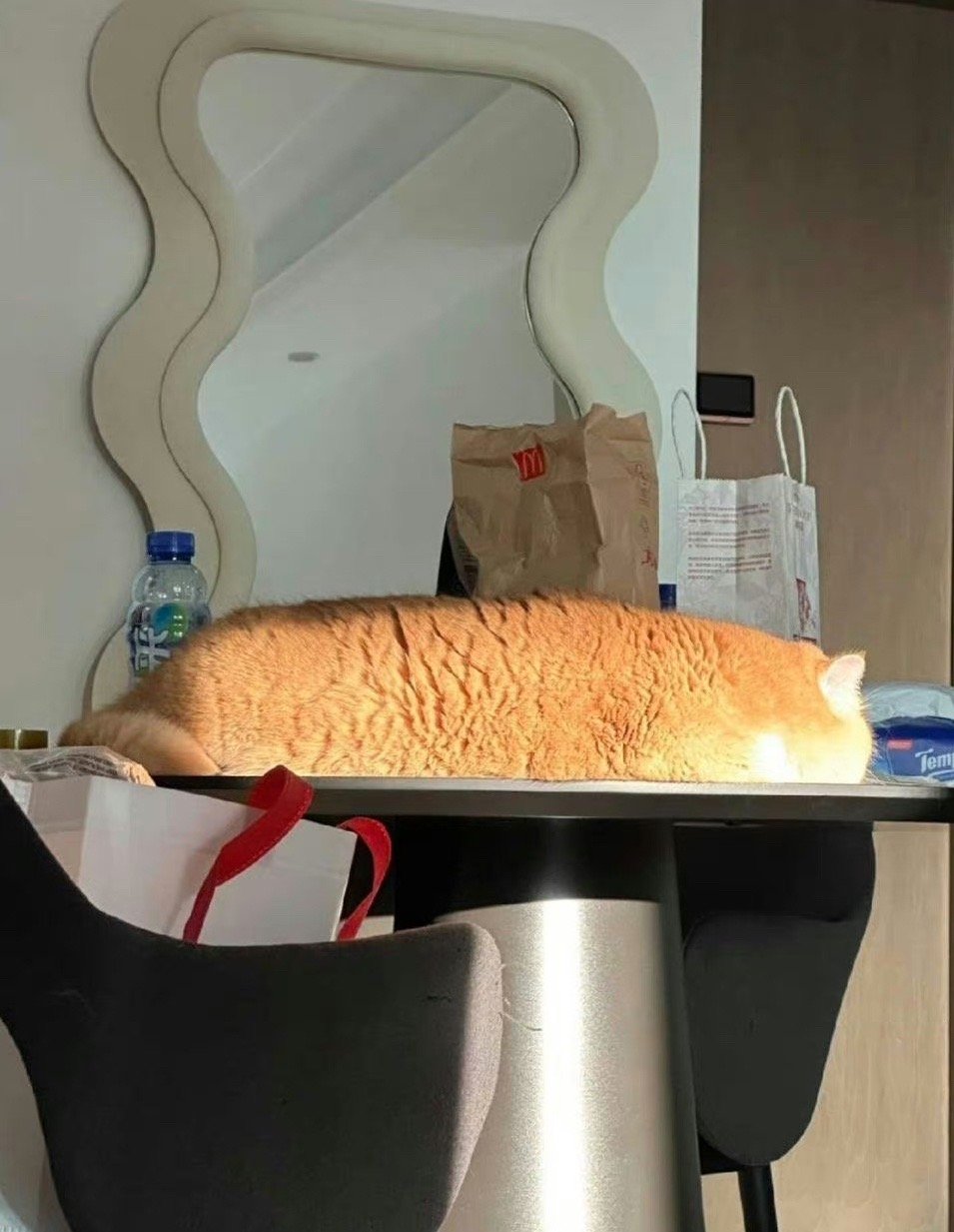 早餐吃个全麦吐司面包 ​​​