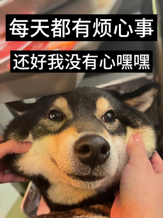 幸好幸好😌