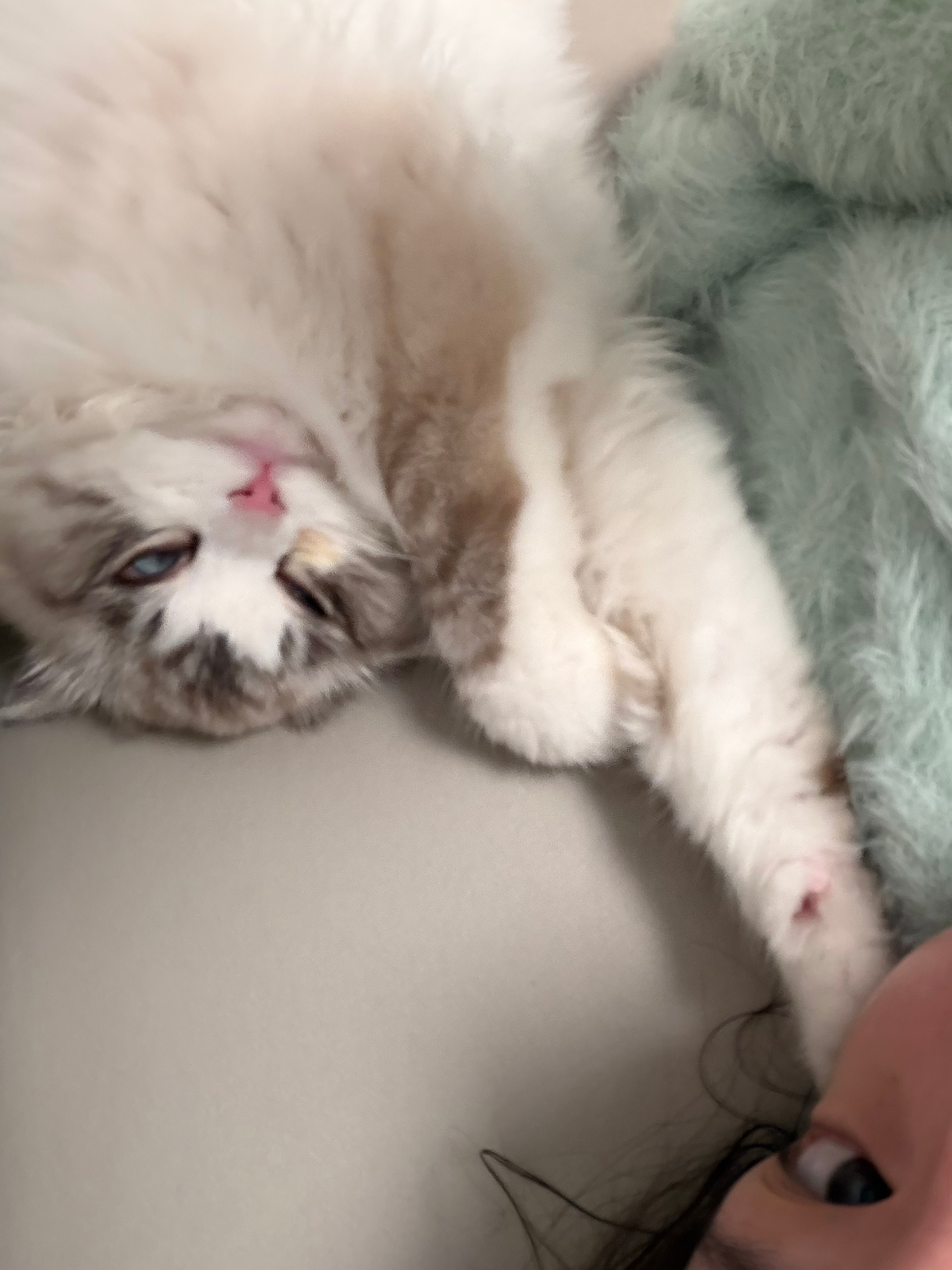 降温了 更不想出门了 