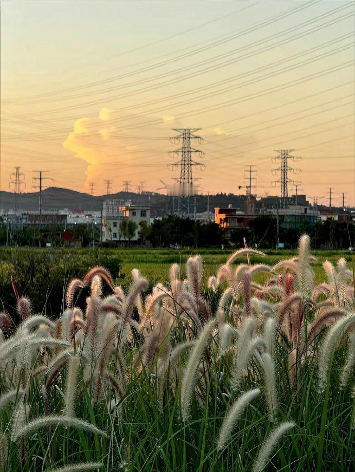 今天没做踢吃亏了，要做踢的话可以多赚一万块钱。今天没心里准备，被偷鸡了，马德！ 