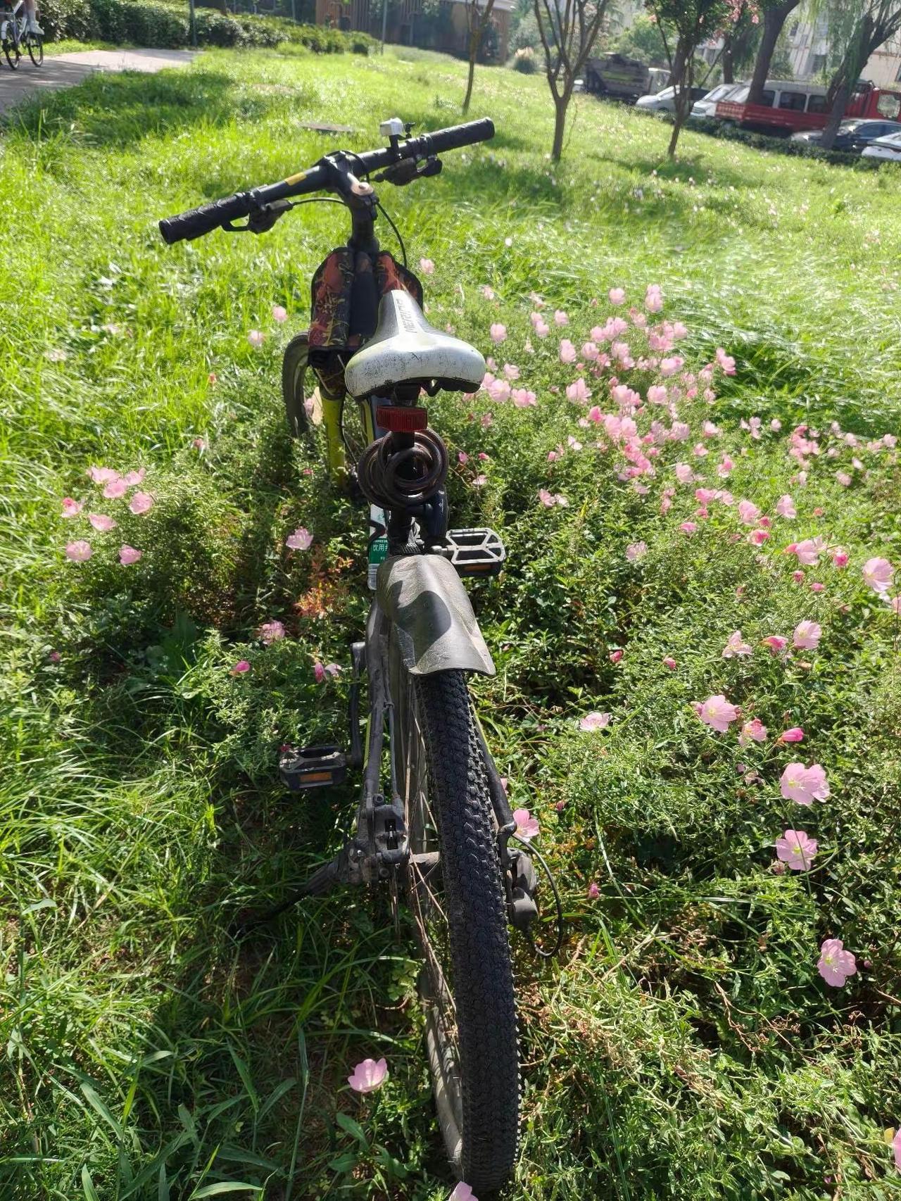 断崖式戒烟第8天，20公里骑行👊道路险阻，迎难而上，坚韧不拔，持之以恒🙏回头
