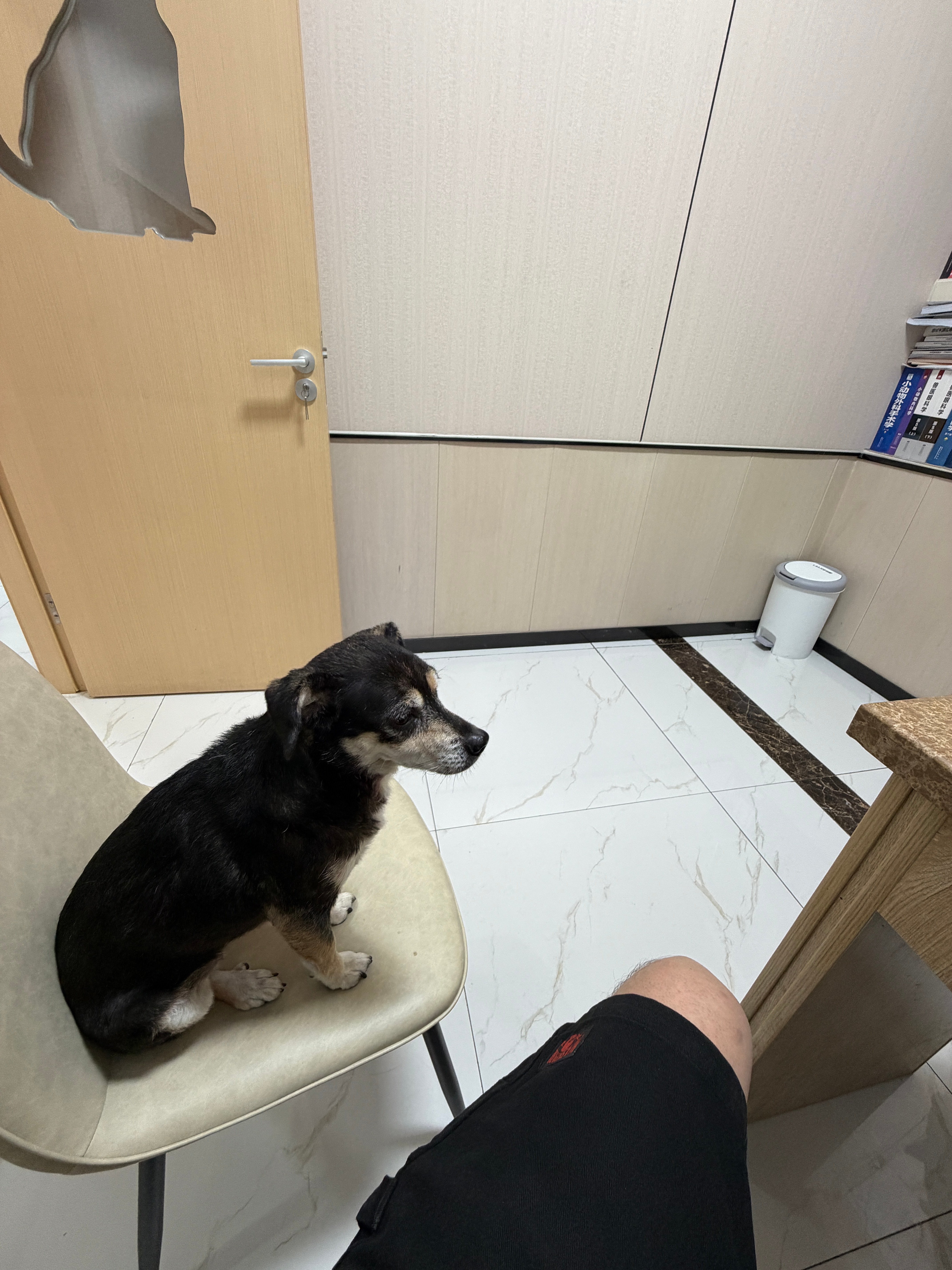 一出差回来马上带娃看病 据说肺炎 还要做核酸 我都惊了 宠物