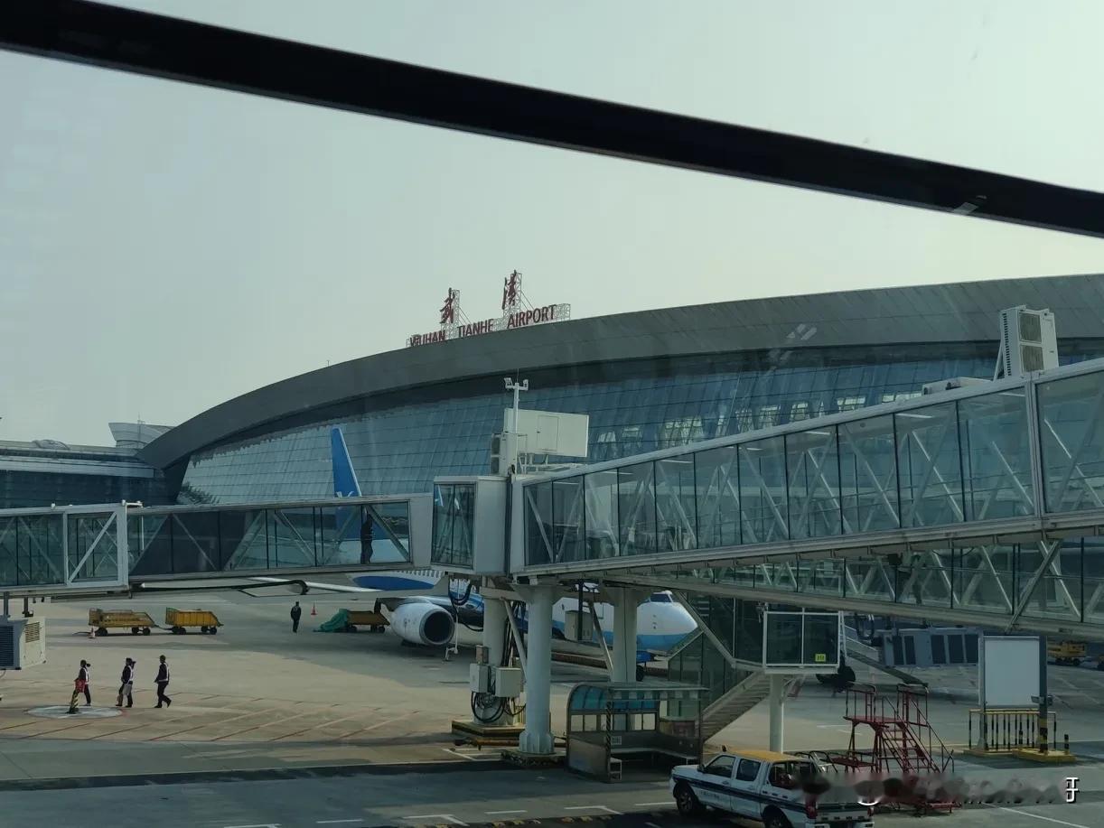 又想晴儿了，2020年武汉口罩，晴儿就这么走了，简直不敢相信，年轻漂亮，德才兼备