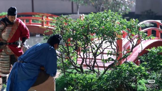 《长安的荔枝》用的棚拍吗？灯泡瓦数是不是太大了 ？