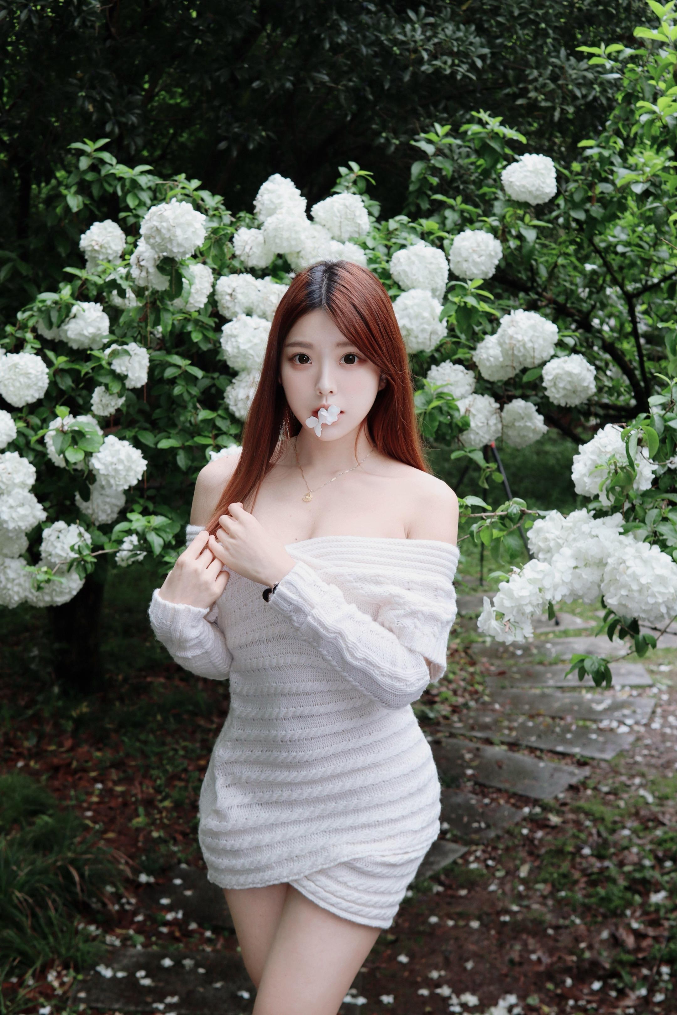 木绣球 属于春天的浪漫 🕊️。