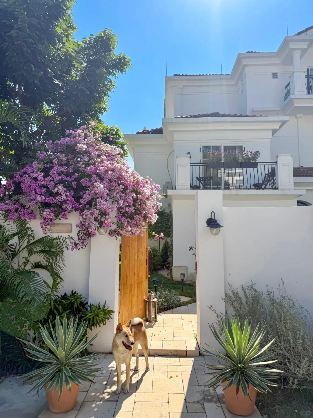 🏡住进这个家，就再也不想出门了！