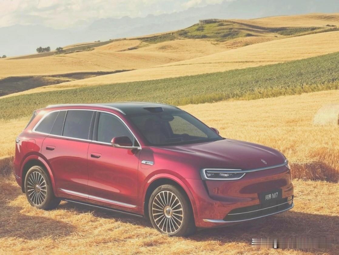 一群没开过增程车的人，天天靠臆想研究增程车的缺点。然后用他们的臆想结果忽悠大众。