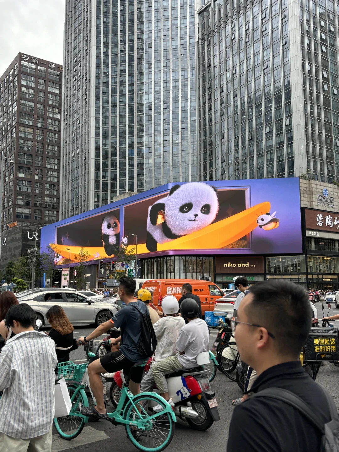 成都是真的不愁看不到熊猫