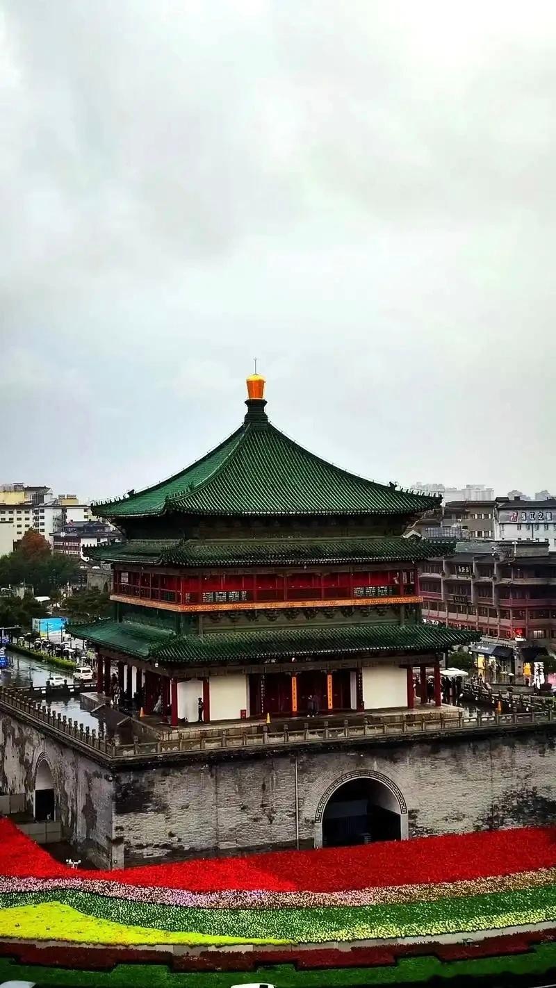 西安下了1个多月雨后遍地长蘑菇 西安连续降雨一个多月，遍地长蘑菇了，大雁塔受潮，