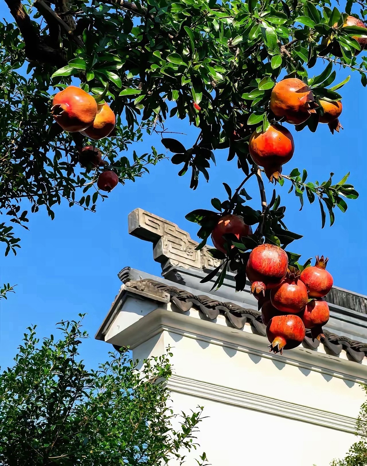 早上好！ ​​​