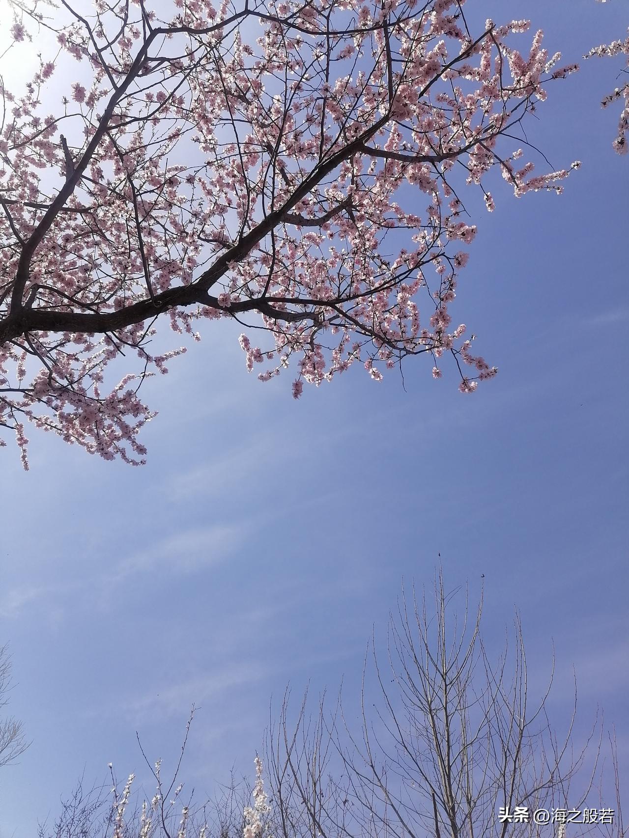 北京今天最高气温达到22℃！

天气预报员开始播报啦！白天晴间多云，最高气温22