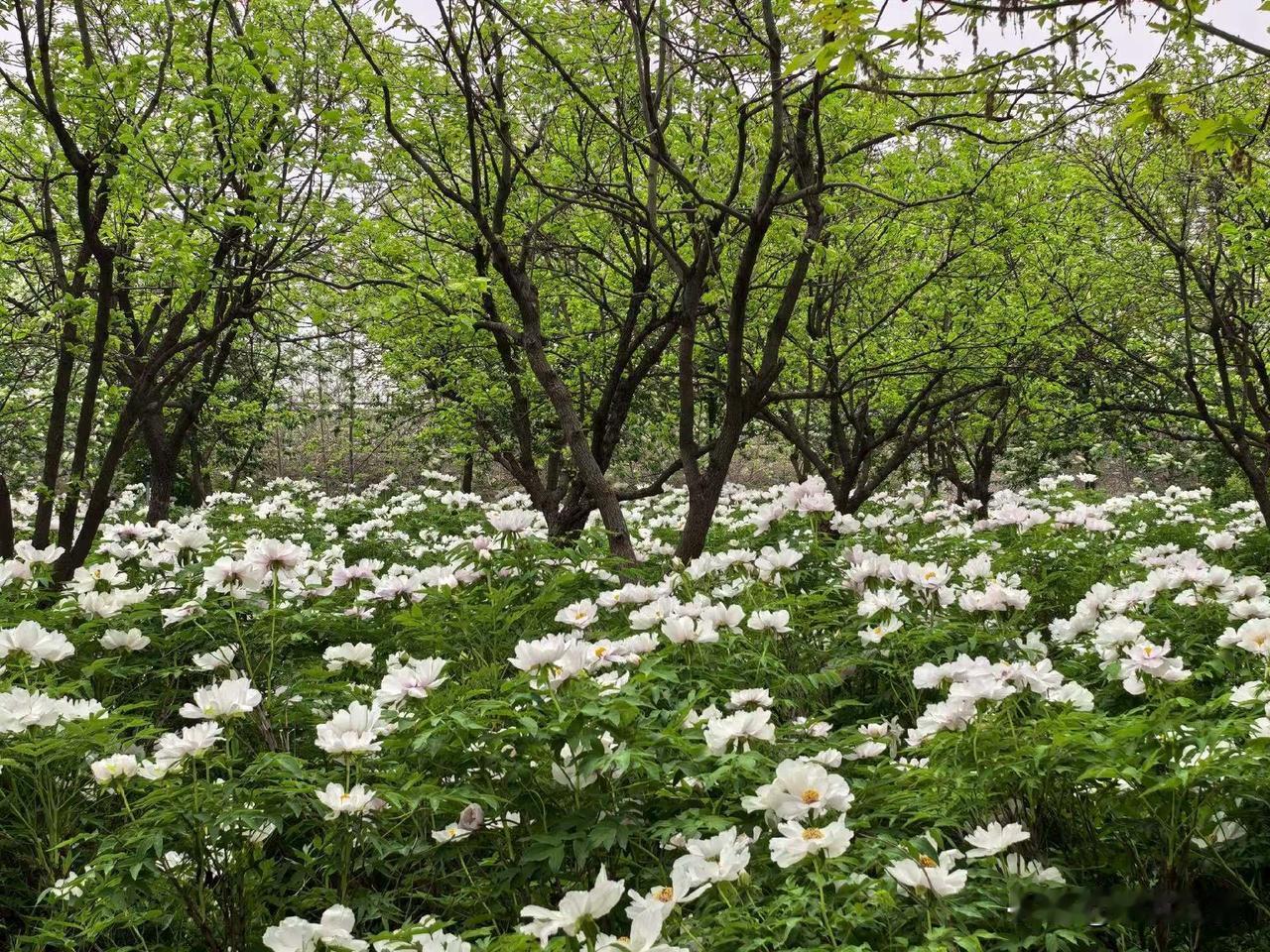 【小对联】
上：容貌；
下：……？