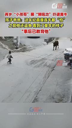 初生牛犊不怕虎！近日贵州贵阳，两岁的小男孩正在村道上玩耍，看见路边有个低头走路的