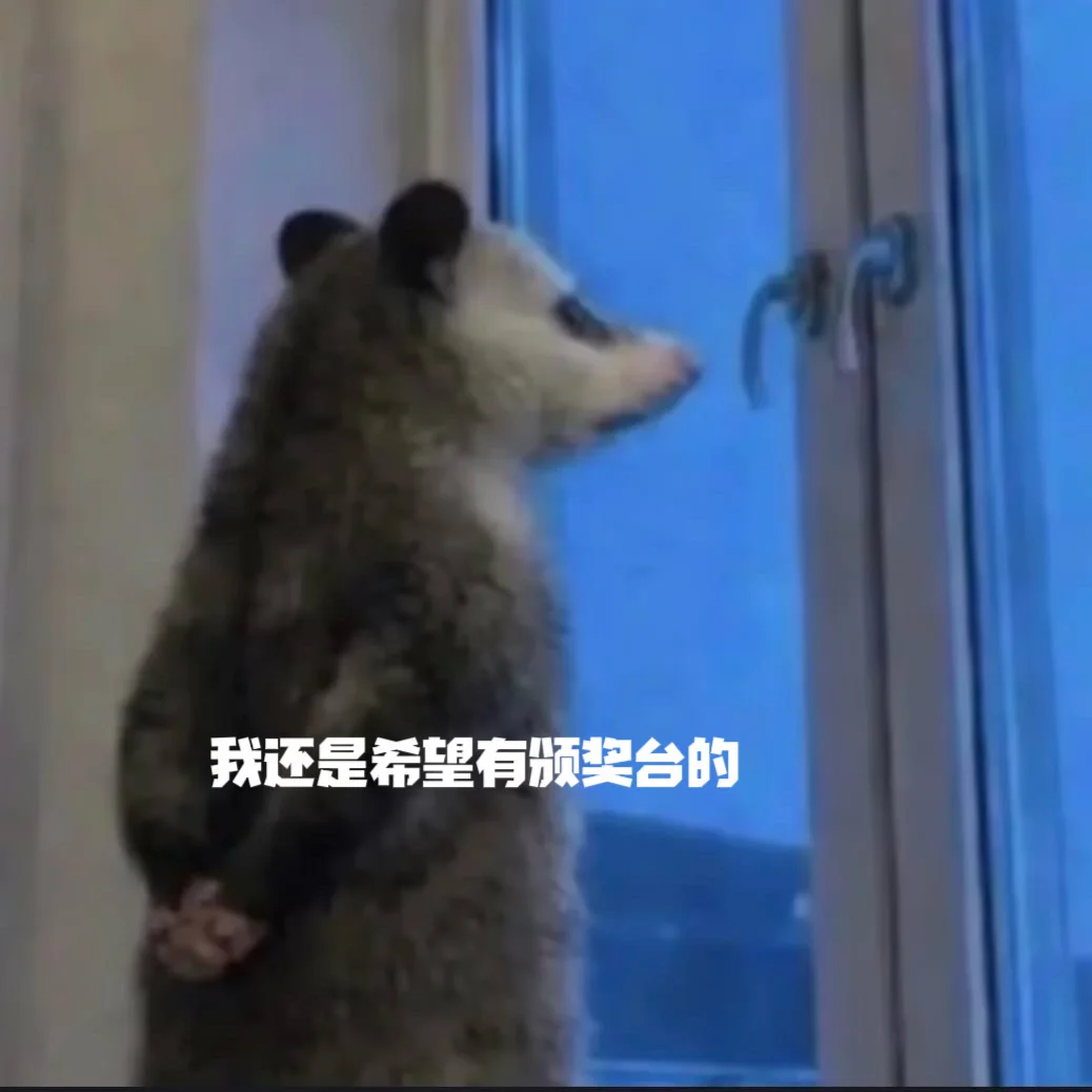 发一定有人懂我