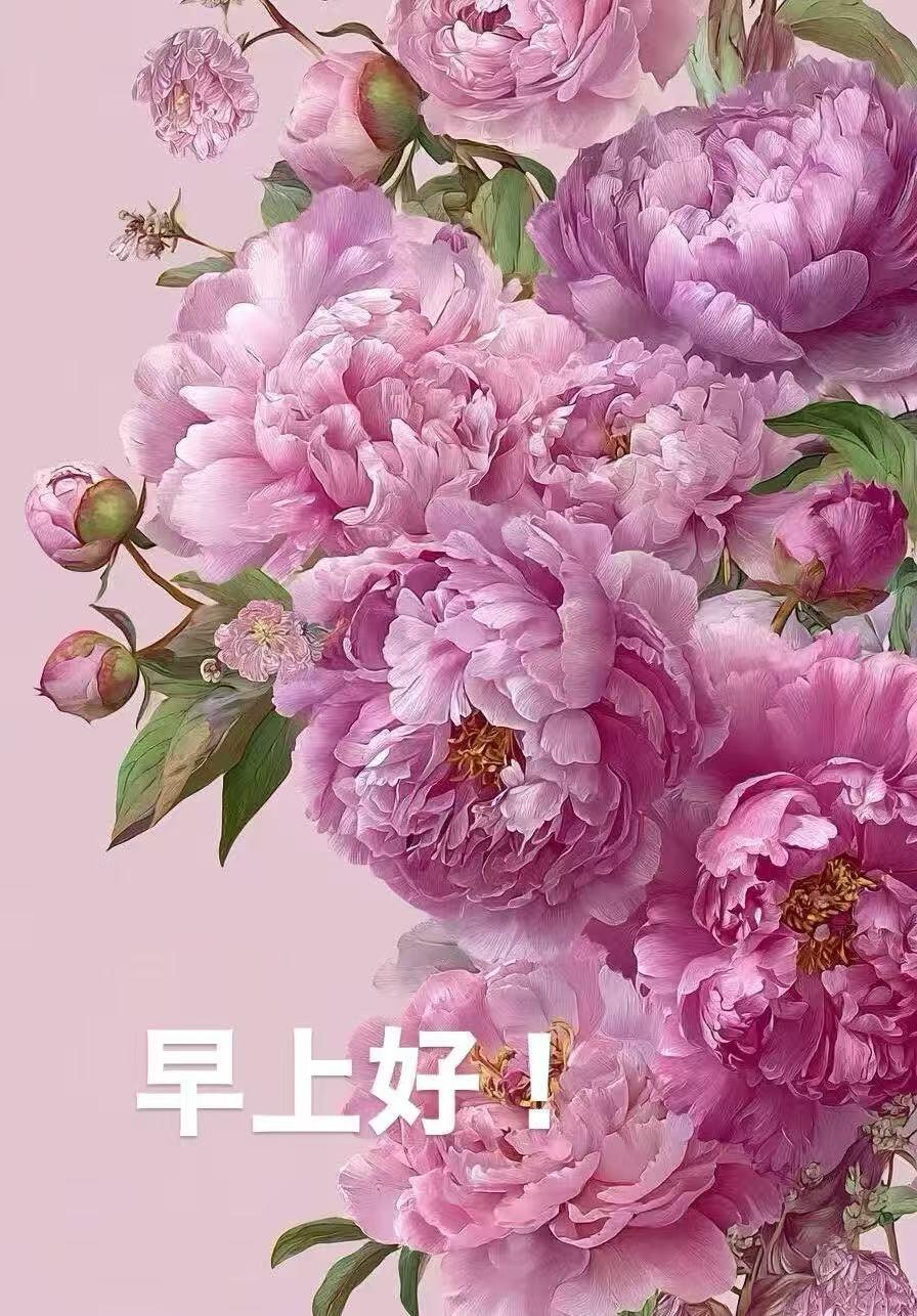 晨起有心安，
所遇皆溫暖，
珍惜這分緣，
身體保健康，
好運常相伴，
今天最吉祥