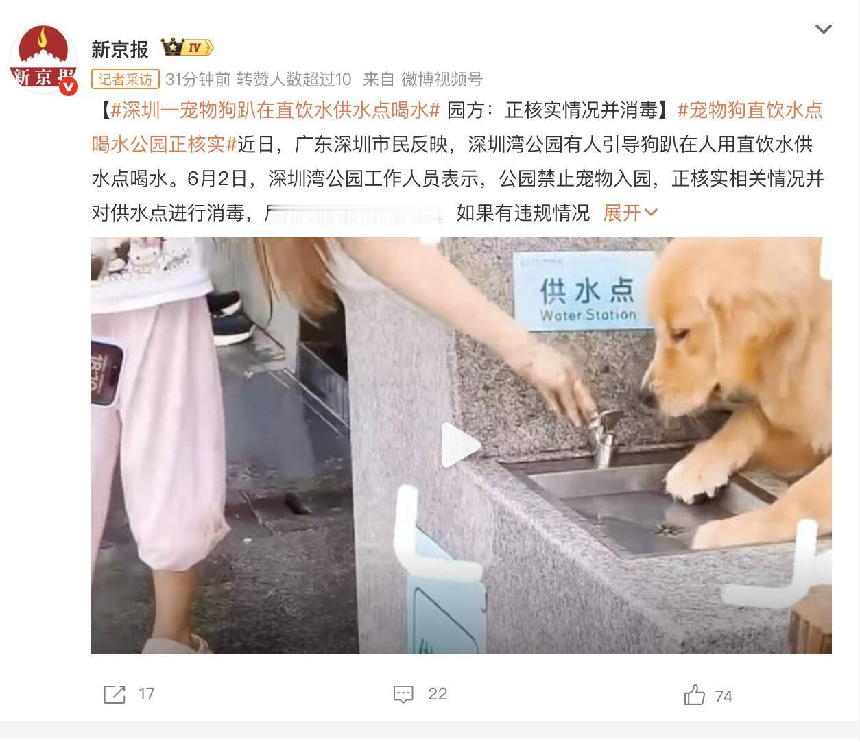 深圳湾公园最近也闹了个案——有人带狗进园（明明禁宠），还扶着狗让它趴在人用直饮水