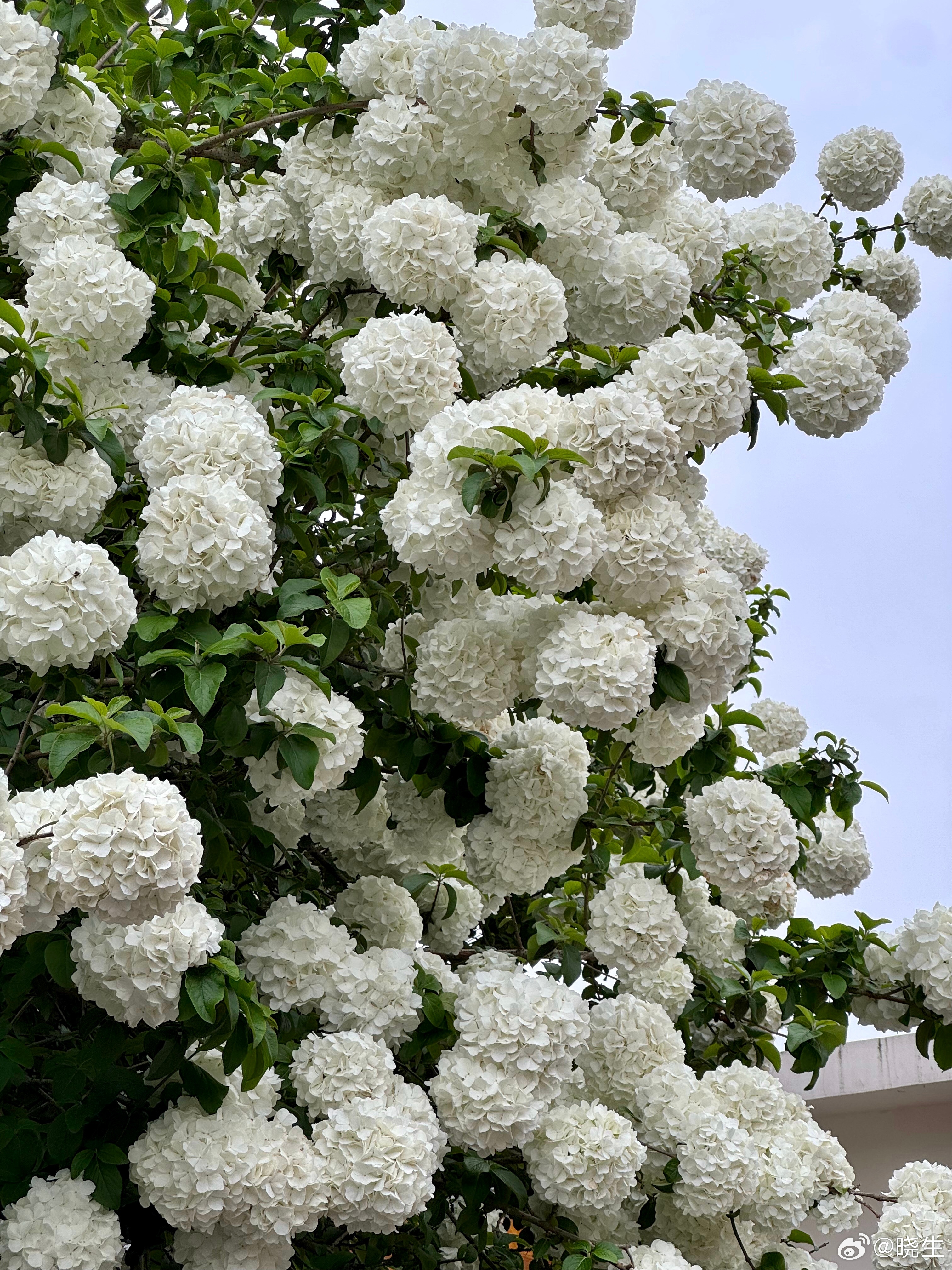 很多人谈了几年恋爱，关系却始终停在“差不多”的层面能聊天、能相处，但就是走不进彼