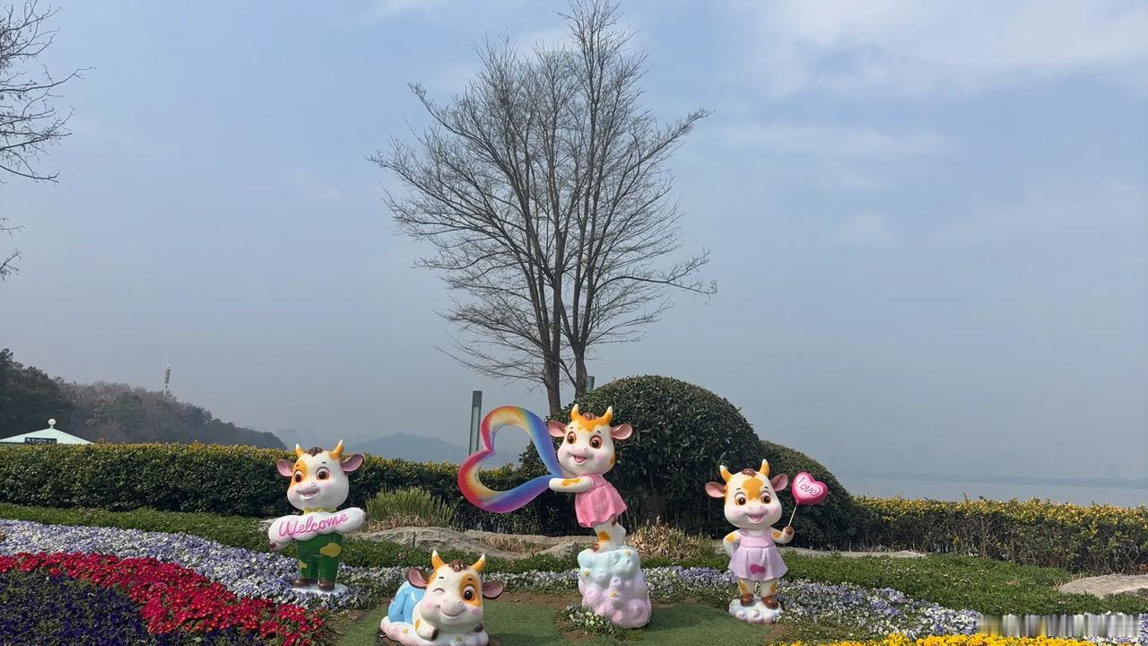 ✅快讯，刚刚🔚的WTA1000阿联酋迪拜站女单第3轮第7场比赛，3号种子美国高