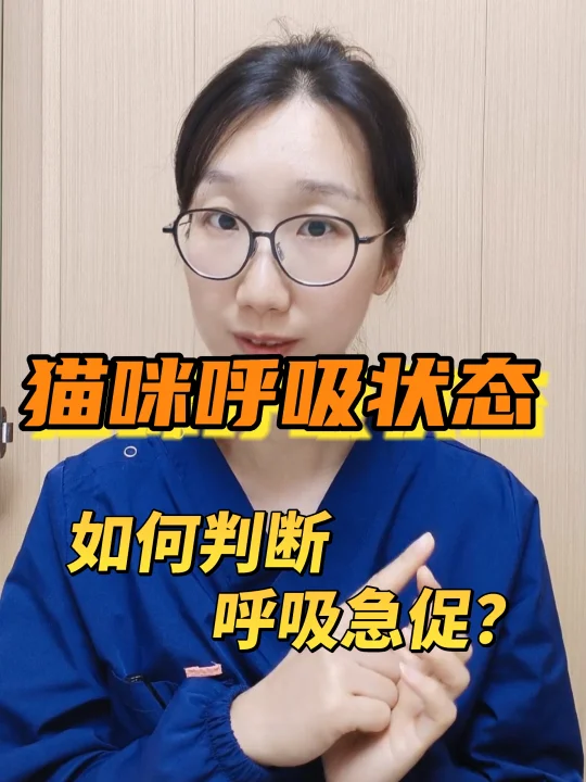 如何判断猫咪异常呼吸状态？