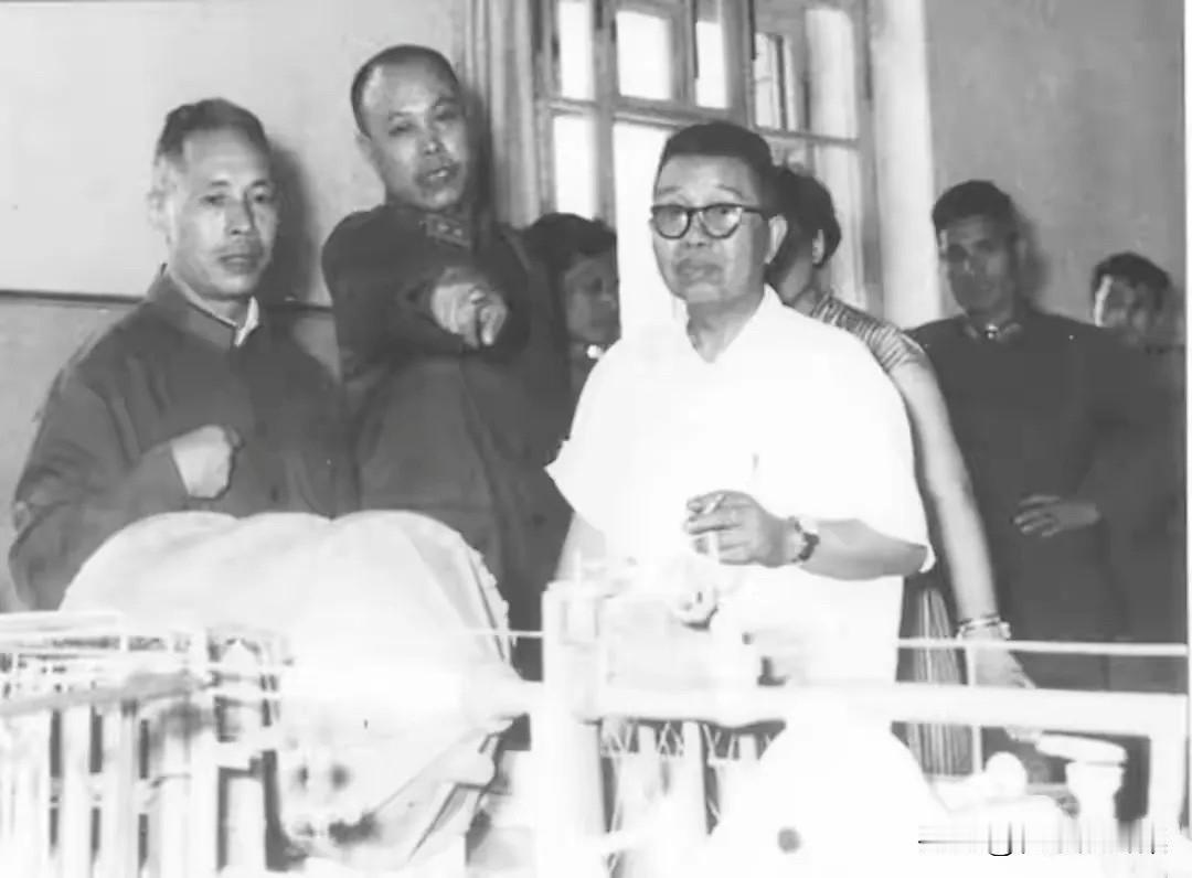 1961年7月30日，时任国务院副总理谭震林（前右一）来到哈军工视察。在空军工程