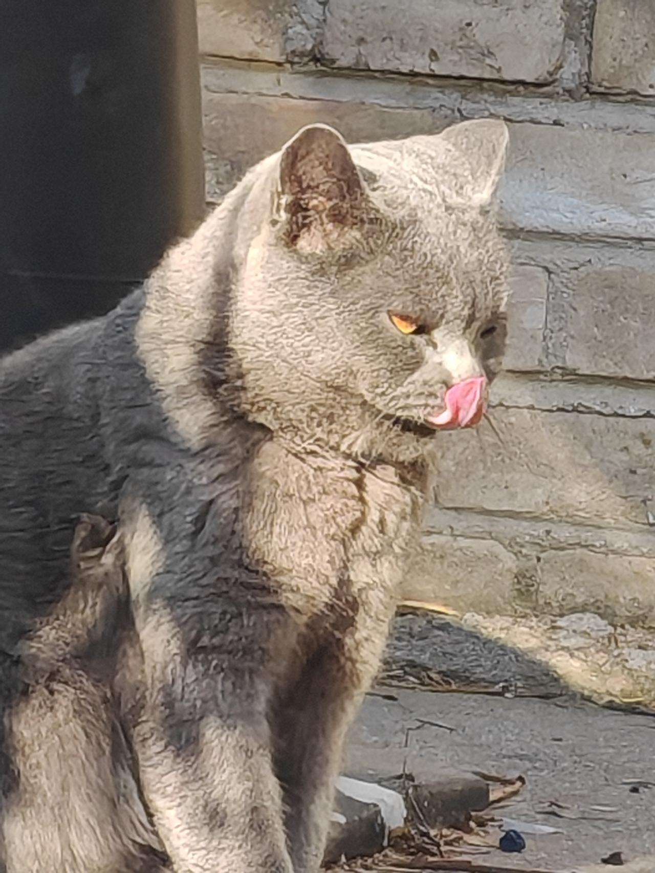 最近娱乐圈一个大瓜让老艺术家们集体沉默——姜昆在美国豪宅过圣诞唱《我和我的祖国》