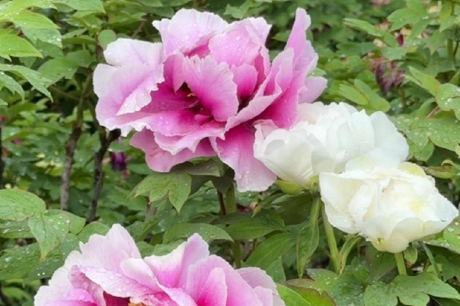 有些人说喜欢你，两三个月以后，他就消失了，不再喜欢了。

哪怕曾经说的甜言蜜语，