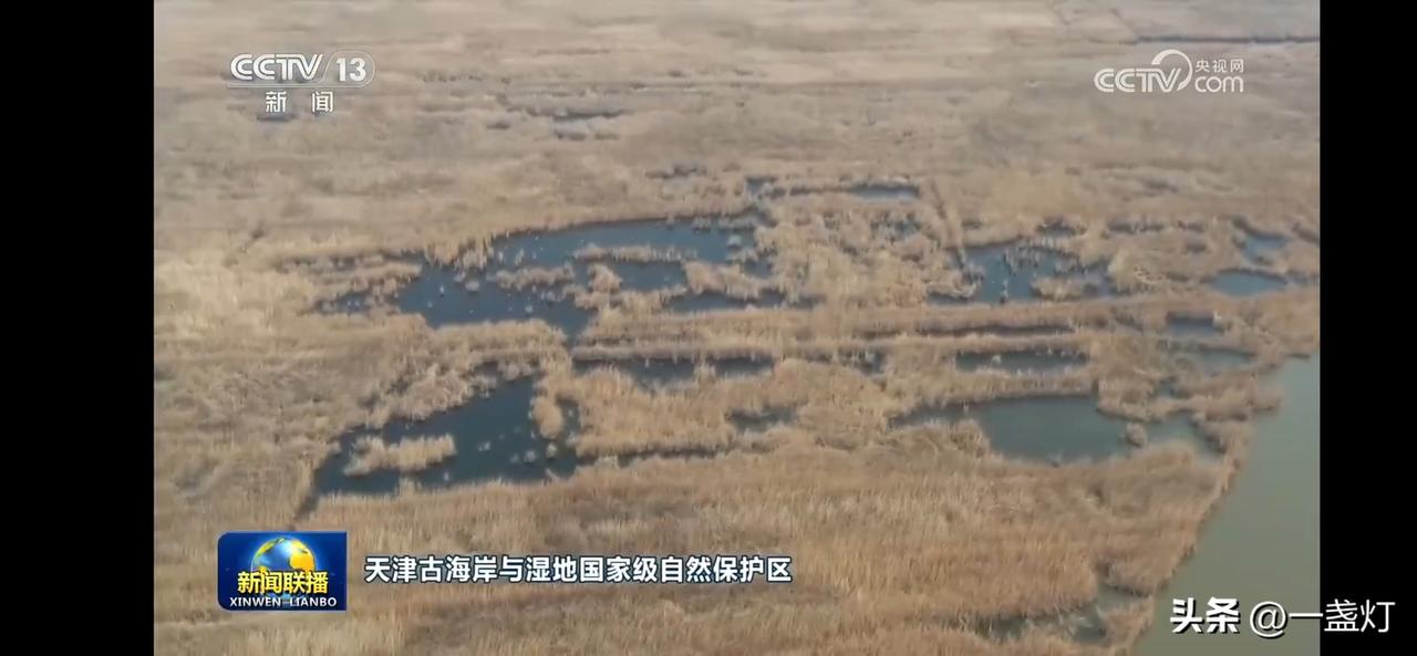 大美中国 保护区候鸟自由自在