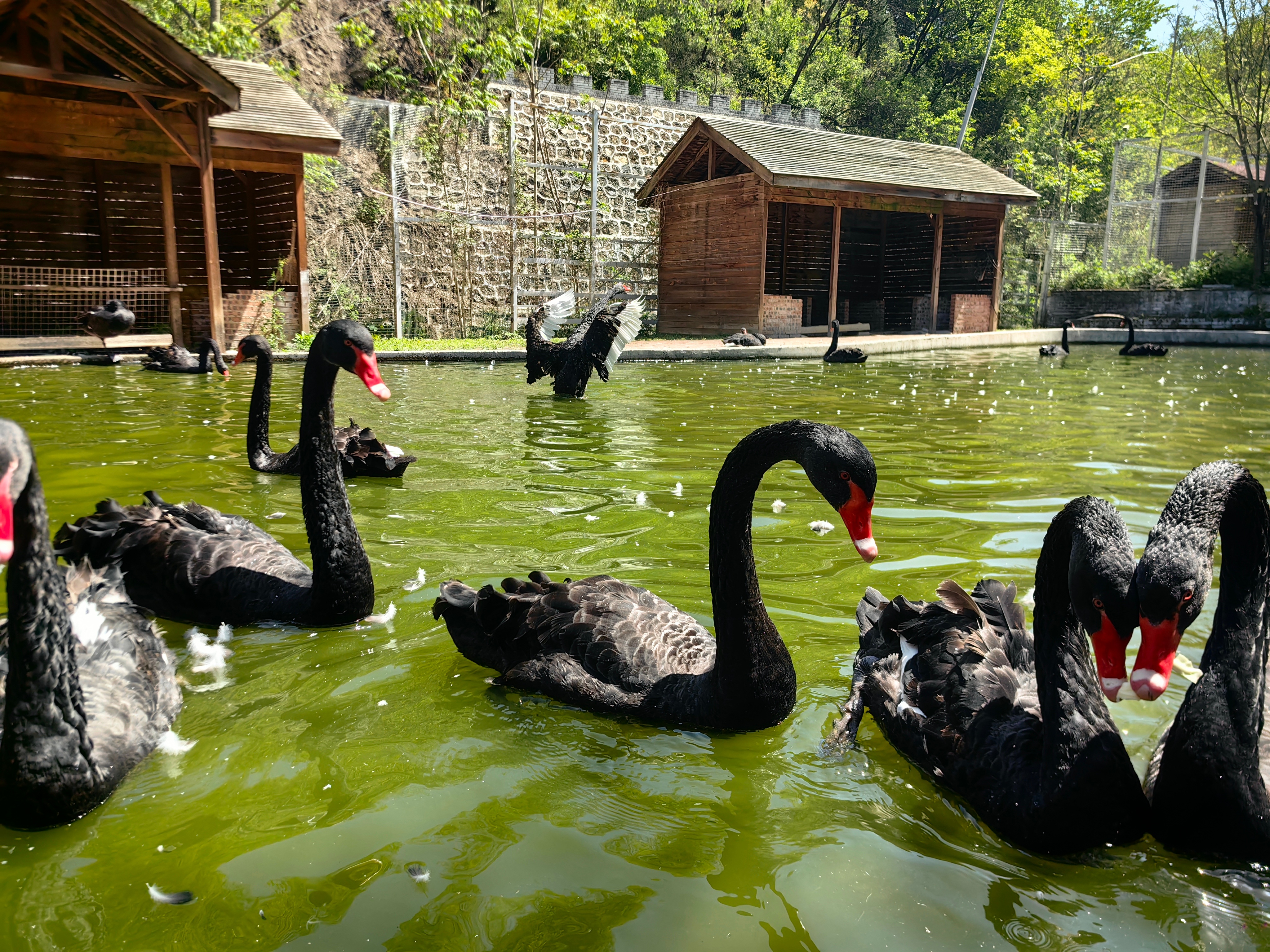 秦岭笑谈五一短途游的痛点，大概就是节日住宿溢价满心欢喜计划出行，却被开销拦住脚步