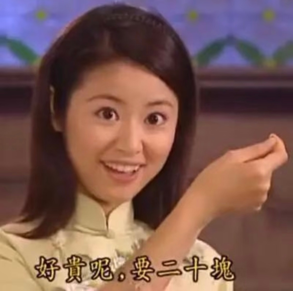 电视剧灿如繁星  林晚星介绍法王： 