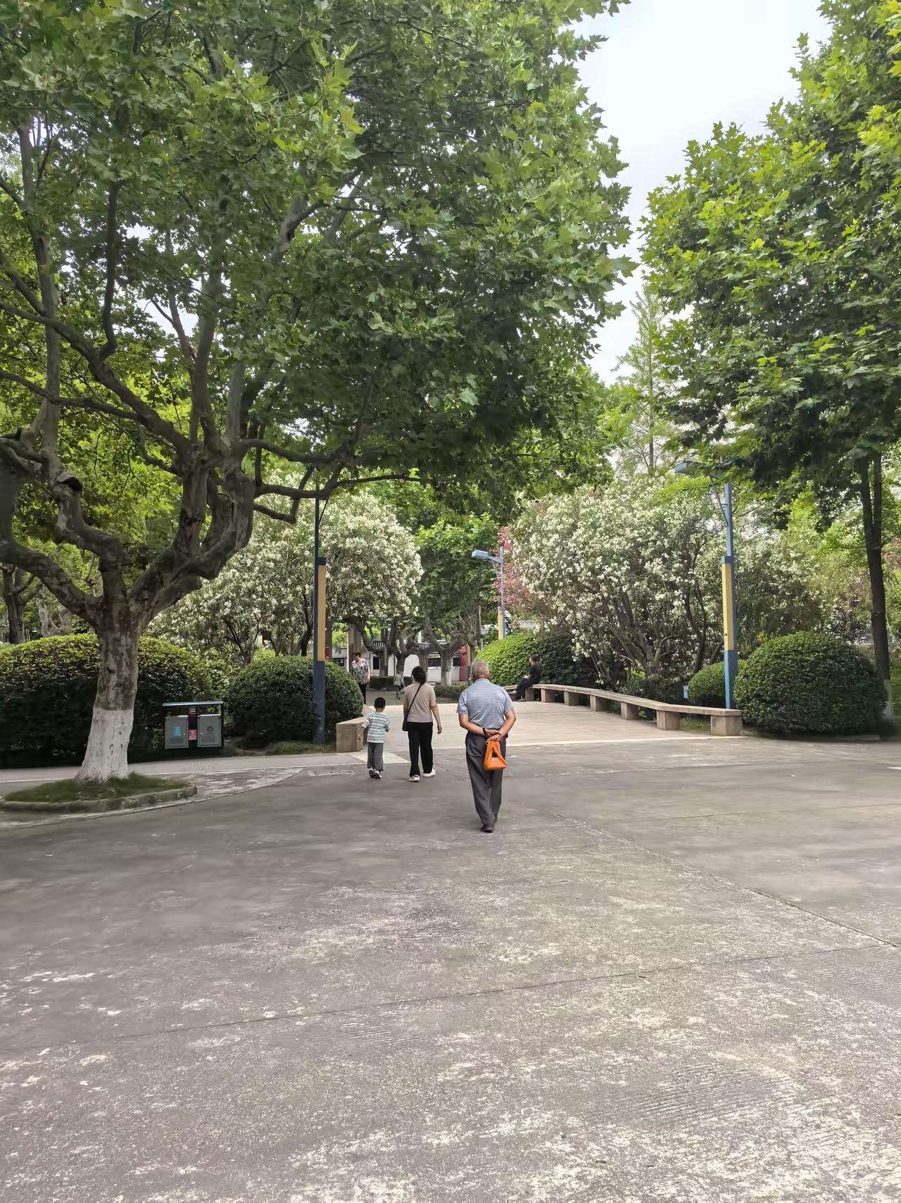 奉劝大家，
空余时间
千万不要再去
整日躺着不动、浑浑噩噩虚度光阴了。
​老话常