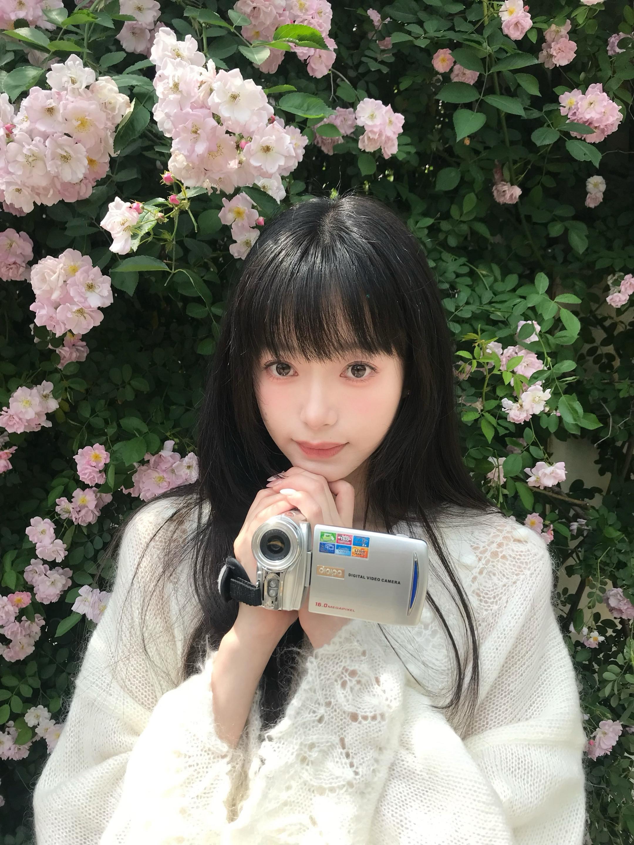 也是拍上蔷薇花了